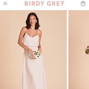 Birdy Grey Gwennie Dress Pale Blush